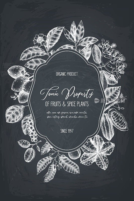 Exotic and tonic plants vector design on chalkboard